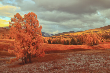 中国彩钢板十大名牌